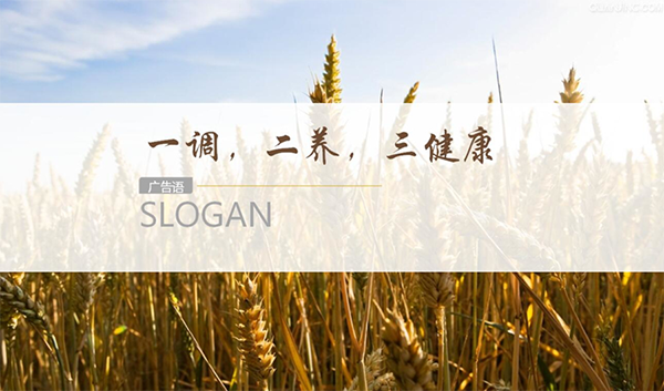 頤善德康養品牌定位案例