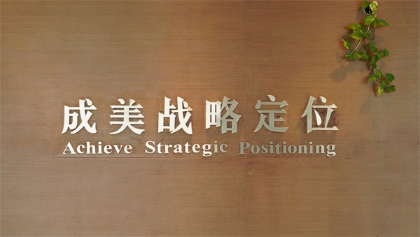 國內好的品牌戰略定位公司有哪些？